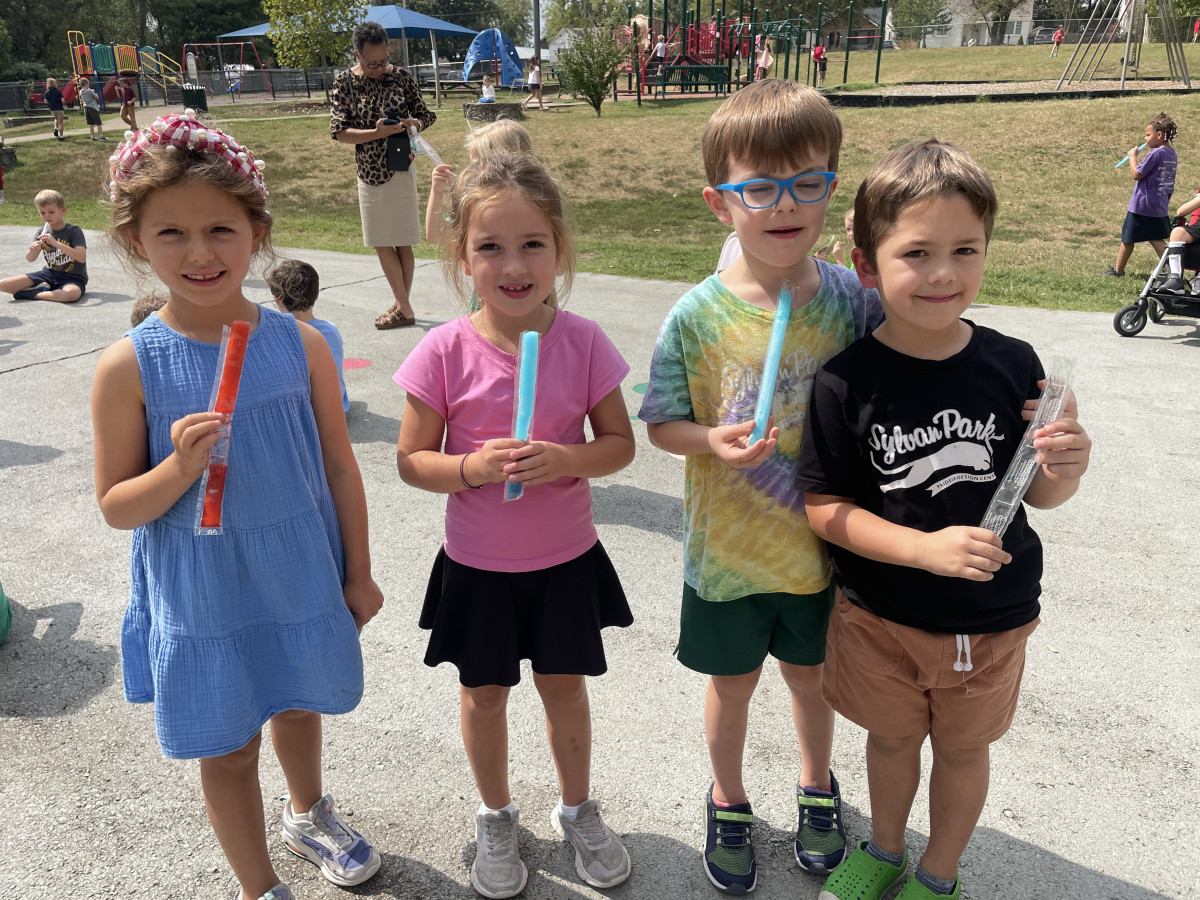 POPSICLES for Participation